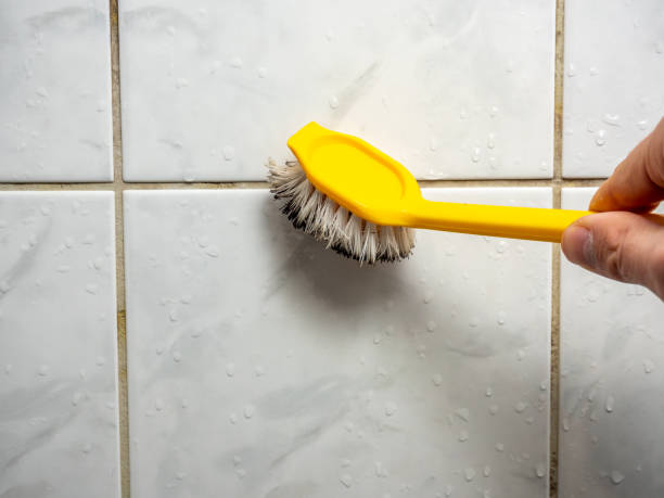 Best Mold Testing and Inspection Services in Dalton, OH