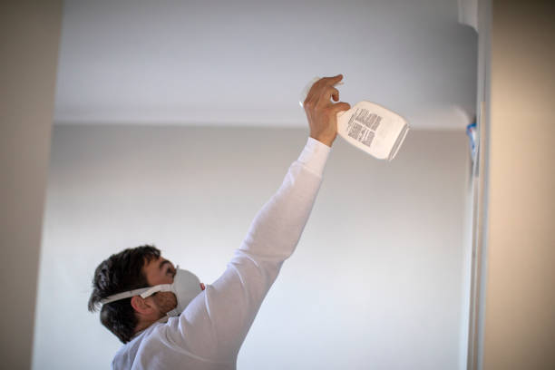 Best Black Mold Remediation in Dalton, OH