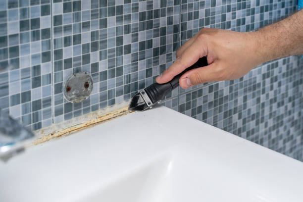 Best Preventive Mold Services in Dalton, OH